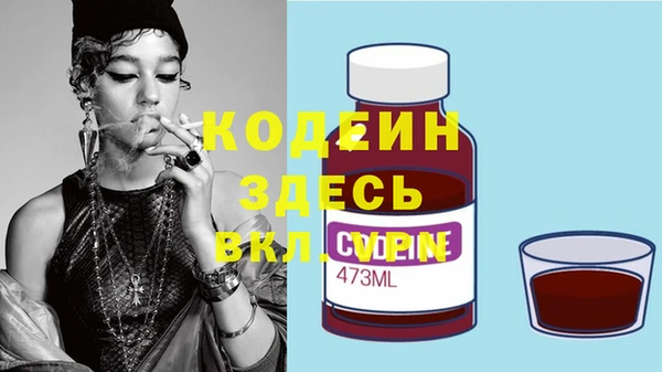 apvp Арсеньев