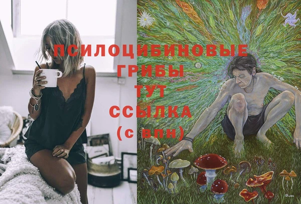 индика Армянск
