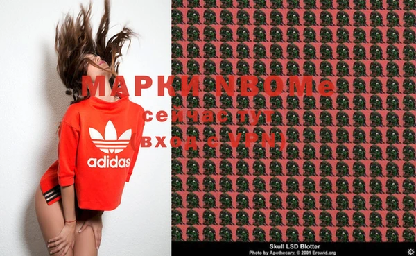 индика Армянск