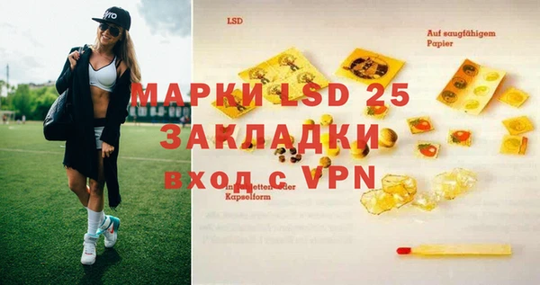 индика Армянск