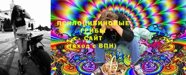 mdpv Пересвет