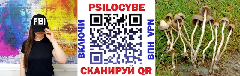 Псилоцибиновые грибы GOLDEN TEACHER  магазин  наркотиков  Покровск 